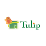 Bigblocks Tulip